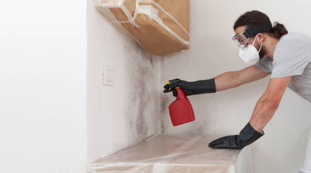 Professional Crawl Space Mold Removal technician working in Long Branch, NJ