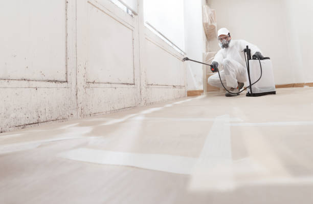 24/7 Emergency Crawl Space Mold Removal experts in Long Branch, NJ