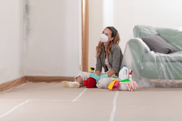 Reliable Crawl Space Mold Removal contractor in Long Branch, NJ by WQB Mold Removal