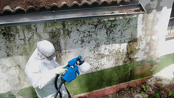 Top rated local Crawl Space Mold Removal specialists in Long Branch, NJ